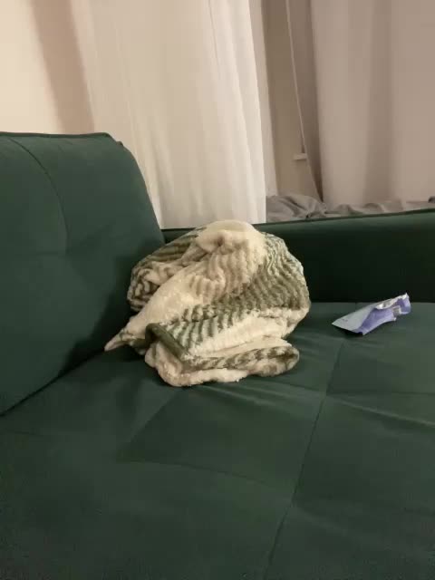 v_-_-_v Live Sex 2025.11.21