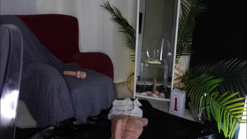 sofiafoster Live Sex December 13, 2025