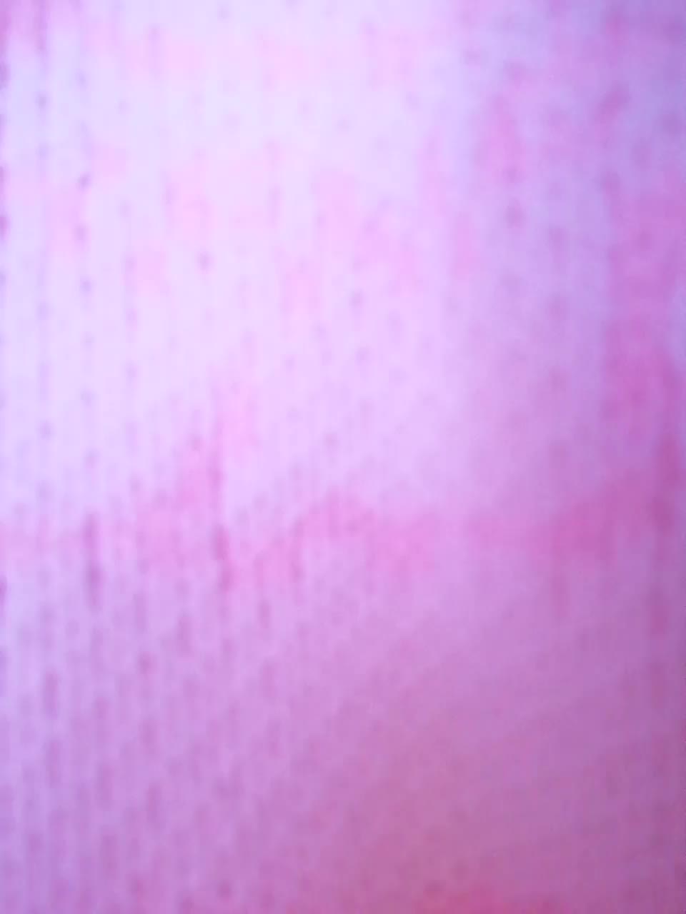 Taliswoman Live Sex December 12, 2025