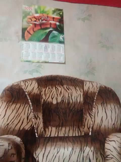 Calibriya Live Sex December 15, 2025