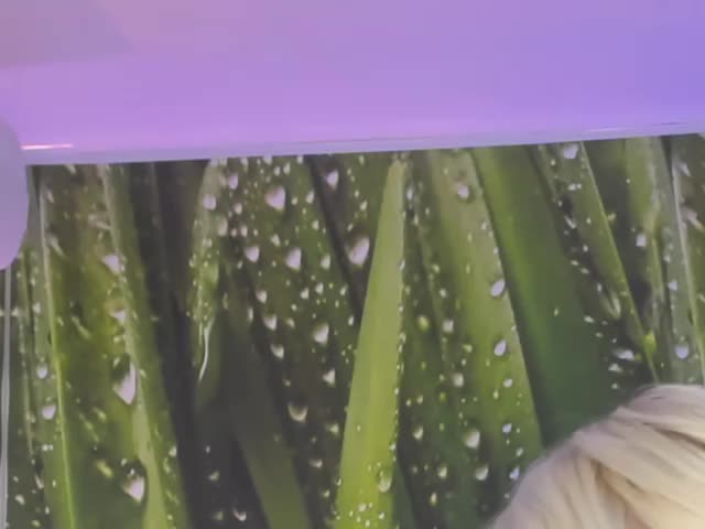 HollyTaillor Live Sex December 14, 2025