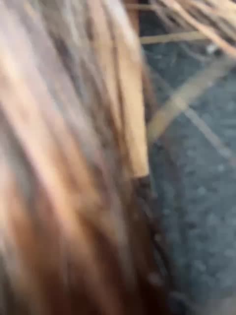 Marianna_ Live Sex December 14, 2025