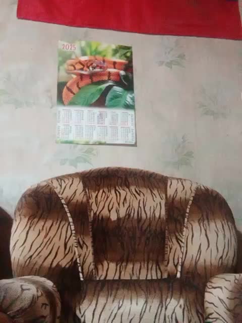 Calibriya Live Sex December 15, 2025