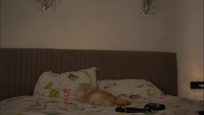 snow_is_falling Live Sex December 14, 2025