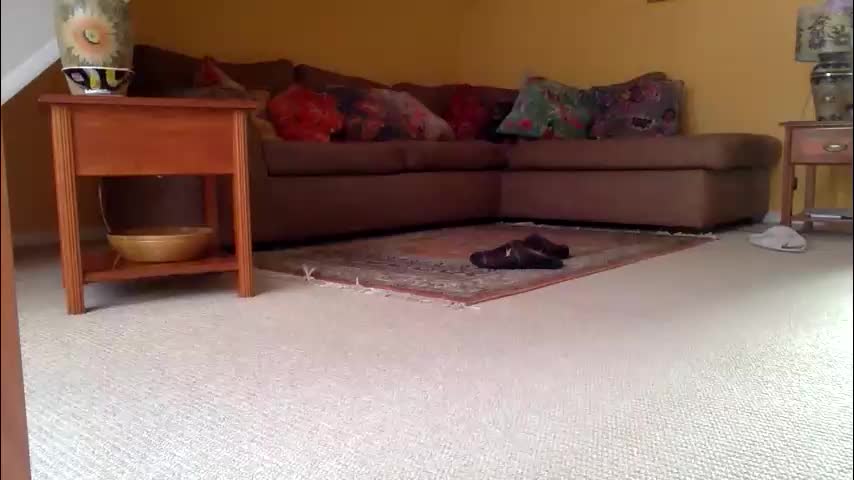 cumonherguys Live Sex December 14, 2025