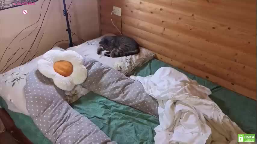 emiliyafox Live Sex December 13, 2025