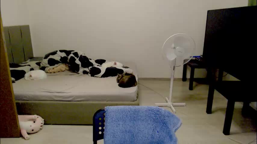 kitten_jenny01 Live Sex December 13, 2025