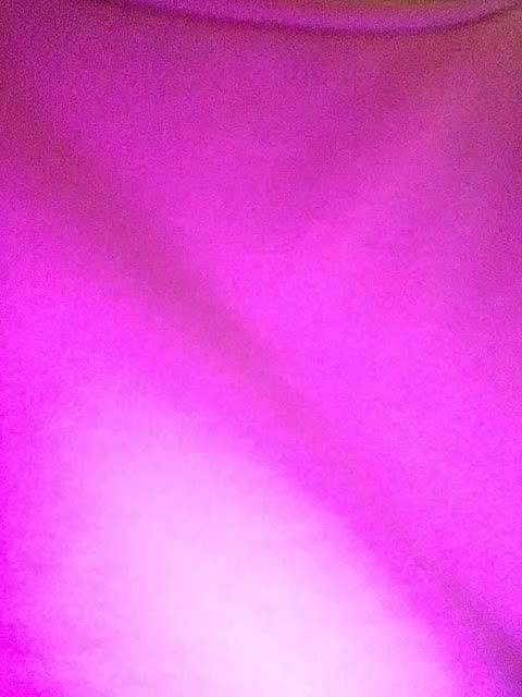 E1eanorEusTacias Live Sex November 23, 2025