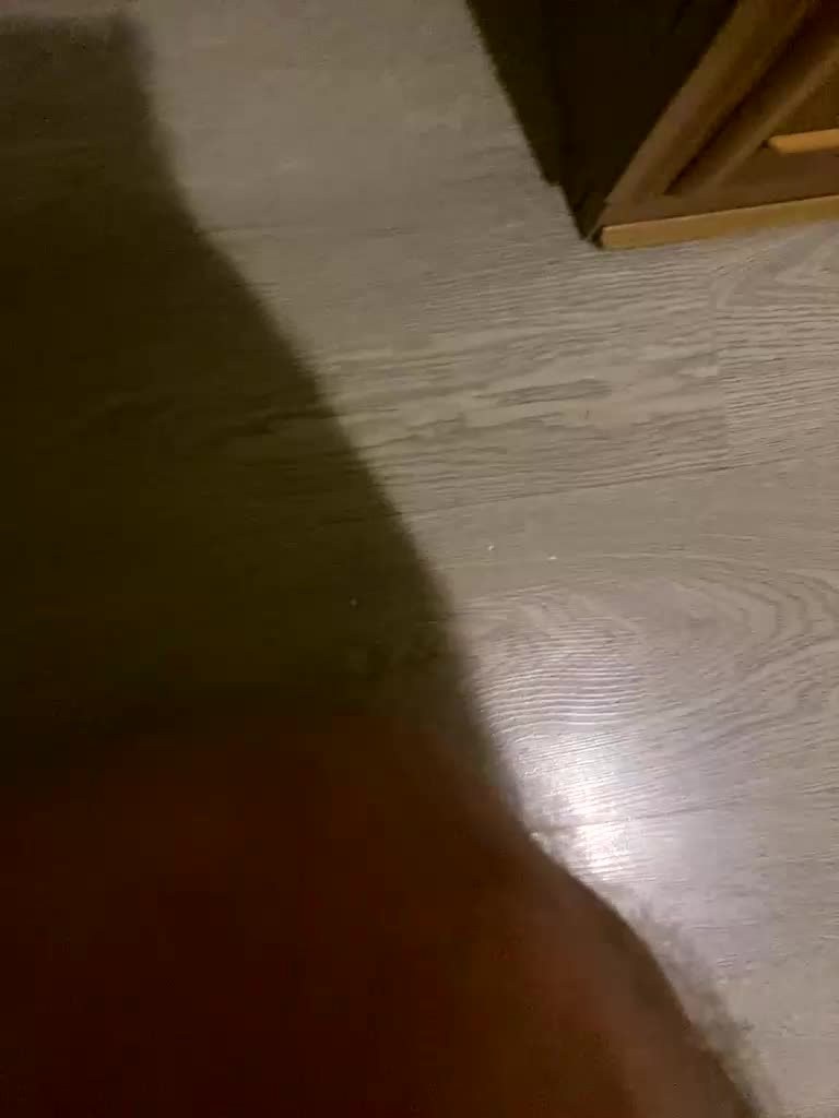 Serilk228a Live Sex December 13, 2025