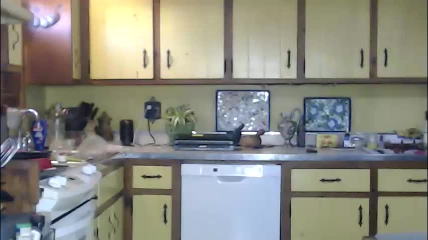 catalystic Live Sex December 12, 2025