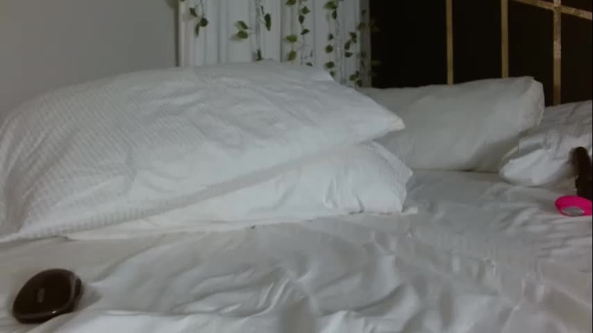 xxxvibesxo Live Sex November 24, 2025