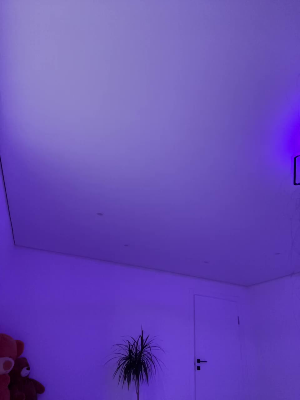 Potifays Live Sex December 13, 2025