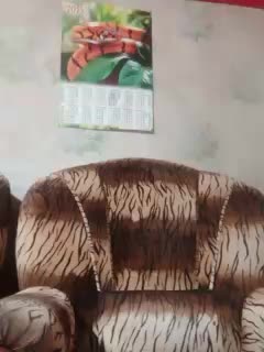 Calibriya Live Sex December 15, 2025