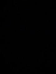 YuGoVi Live Sex November 26, 2025