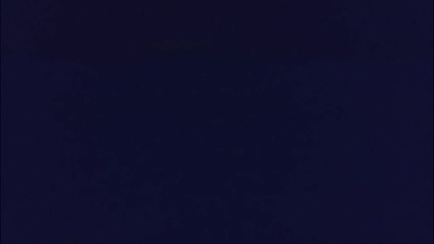 haleyayush Live Sex 2025.11.27