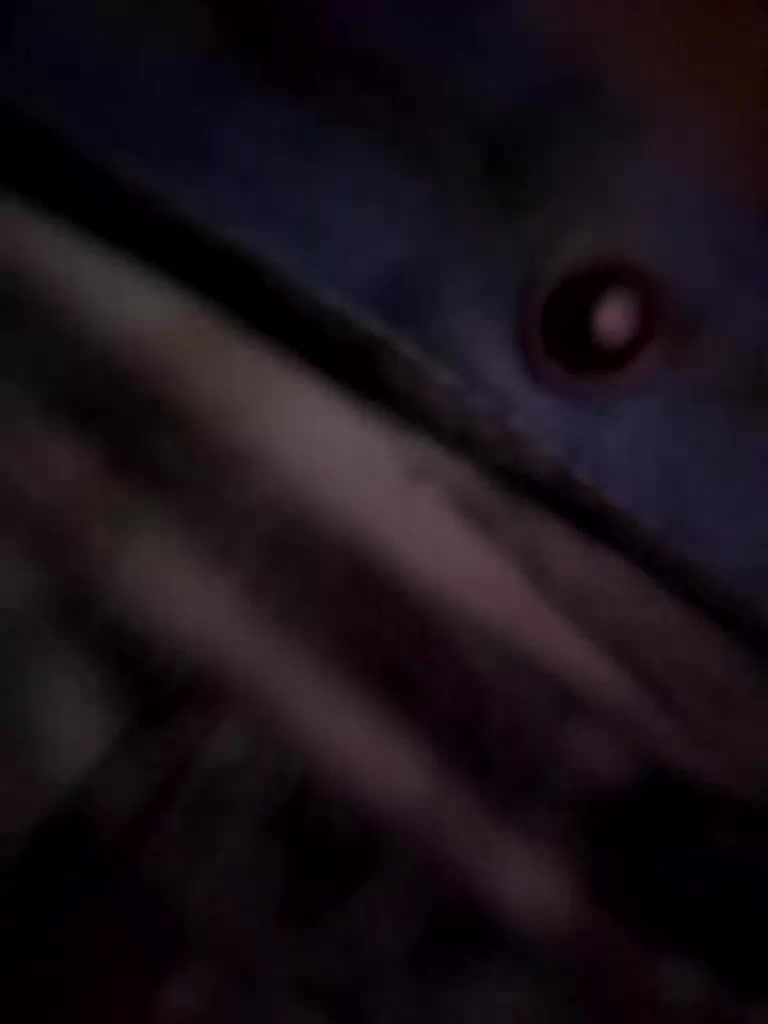 VIP17CoupleDream Live Sex December 13, 2025