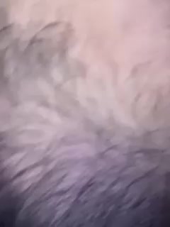 OhHoney Live Sex December 14, 2025