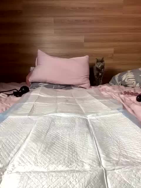 ALISA_PRO_MAX Live Sex December 13, 2025