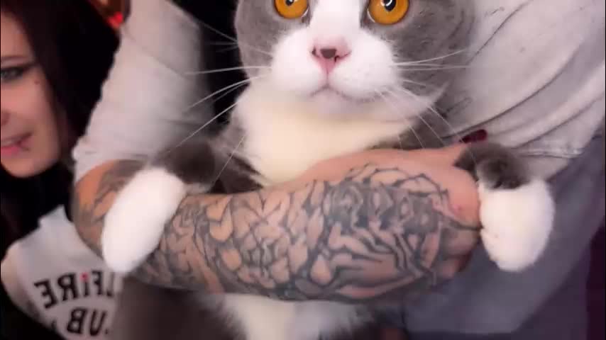 ripper_66 Live Sex December 13, 2025