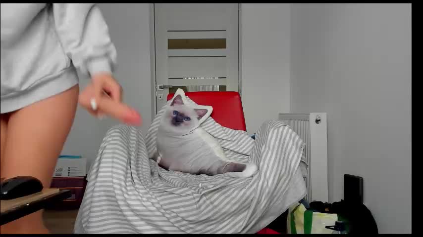 you_love_melisa Live Sex December 13, 2025