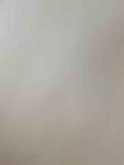 -Riviera- Live Sex December 14, 2025