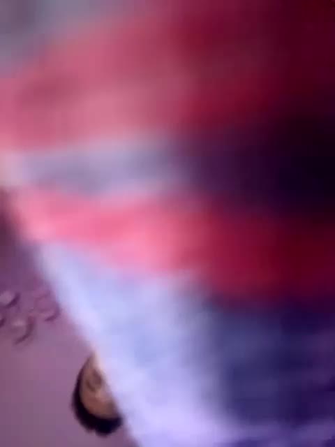 VIP17CoupleDream Live Sex December 13, 2025