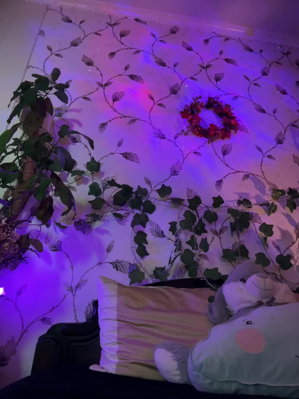 WednesdayFridayAddams Live Sex November 29, 2025