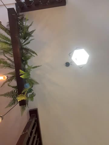 MiraReach Live Sex December 13, 2025