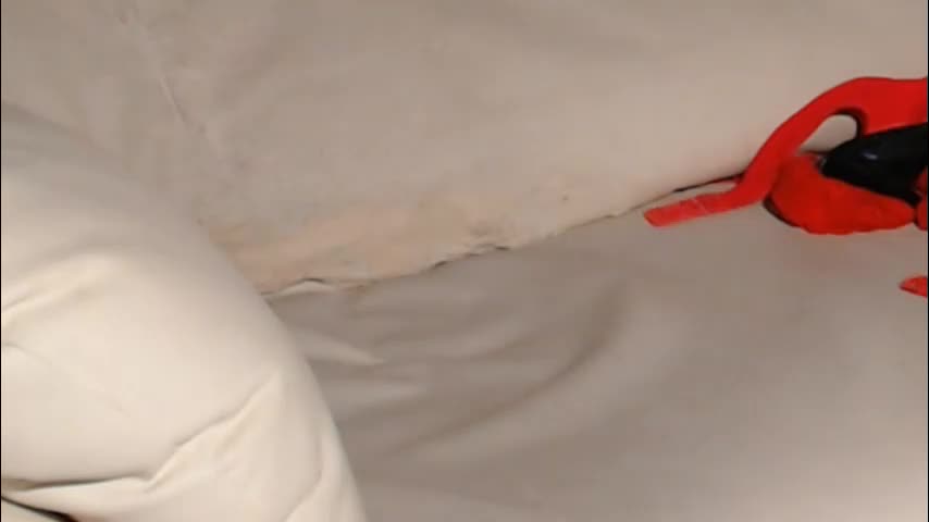 messyholesfuck Live Sex November 29, 2025