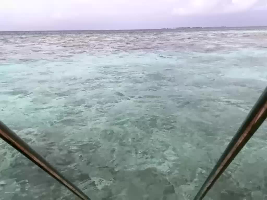 Taanni Live Sex December 13, 2025