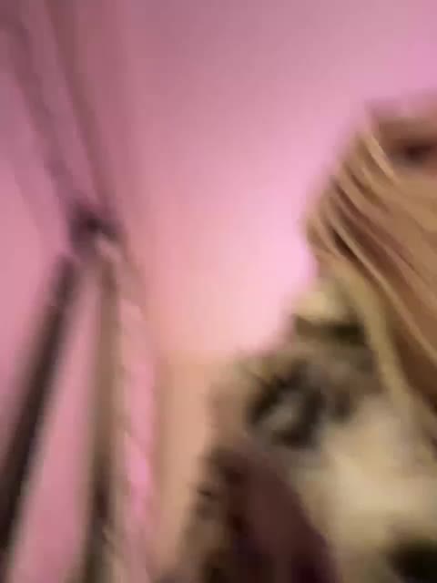 Tvoyasamka77 Live Sex December 13, 2025