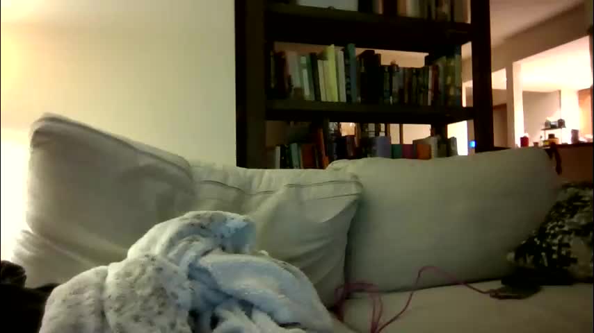 skywinters Live Sex 2025.11.30