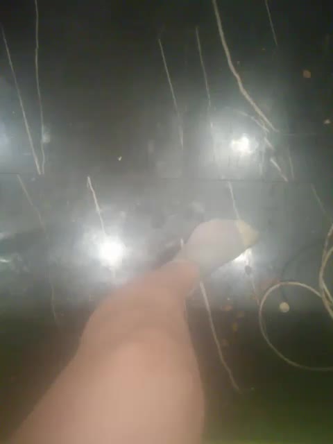 TilyTily Live Sex November 27, 2025