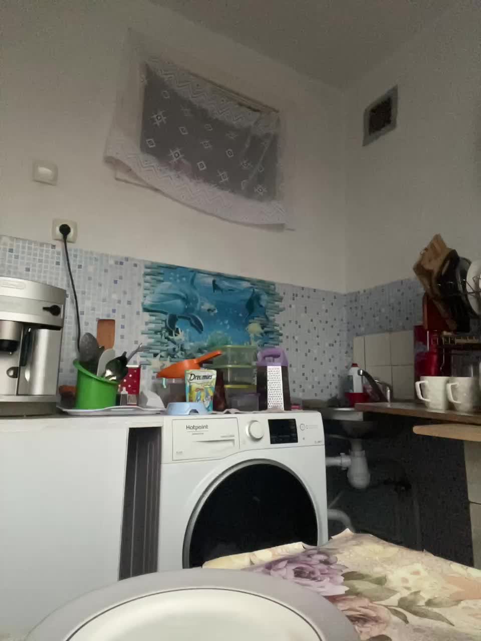 NeZabudka- Live Sex November 30, 2025