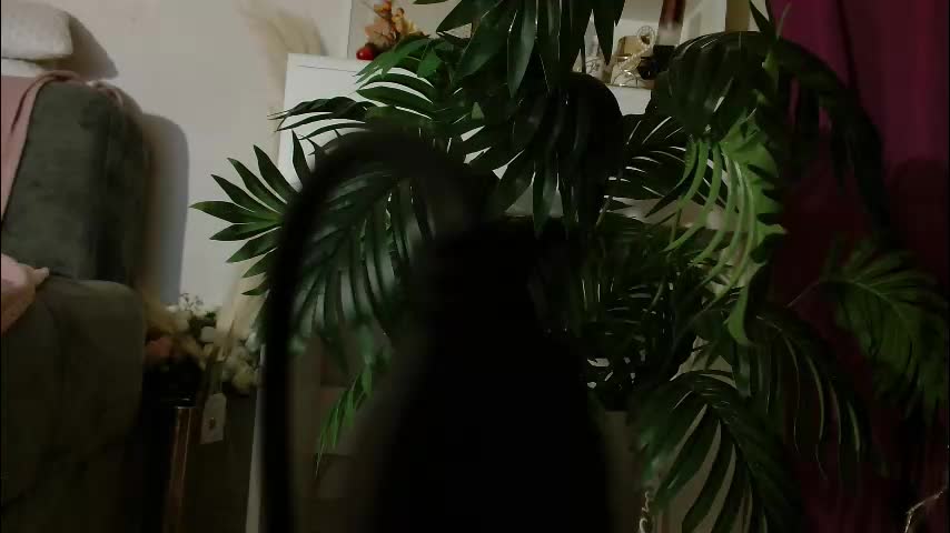 imcarrieberry Live Sex December 13, 2025