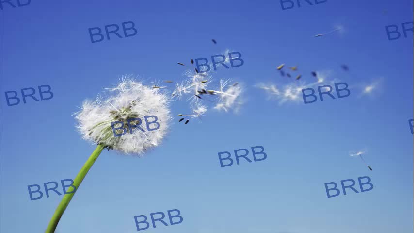 lara_fisher Live Sex December 1, 2025