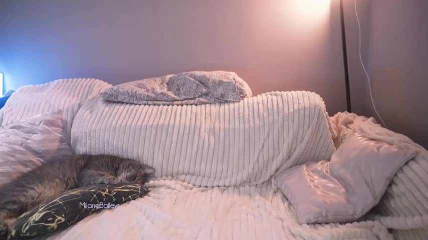 milanabaileys_ Live Sex December 13, 2025