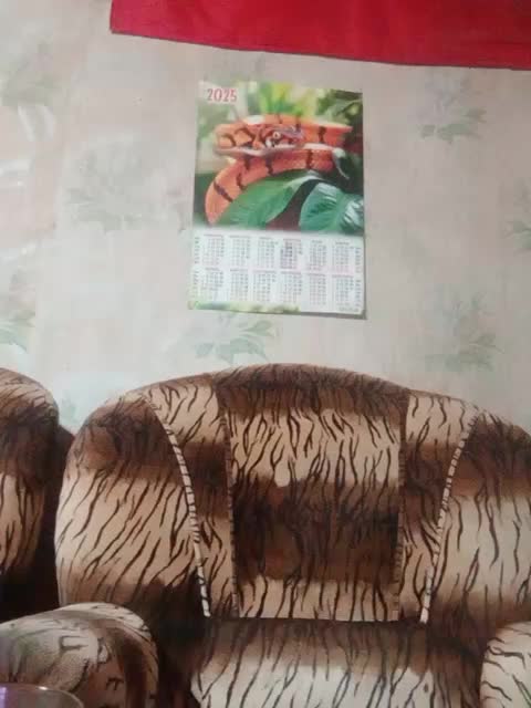 Calibriya Live Sex December 12, 2025