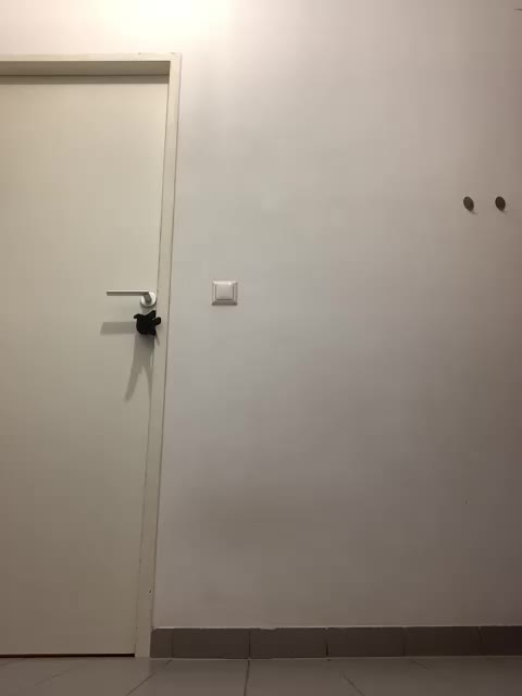 Marakuya16 Live Sex December 1, 2025