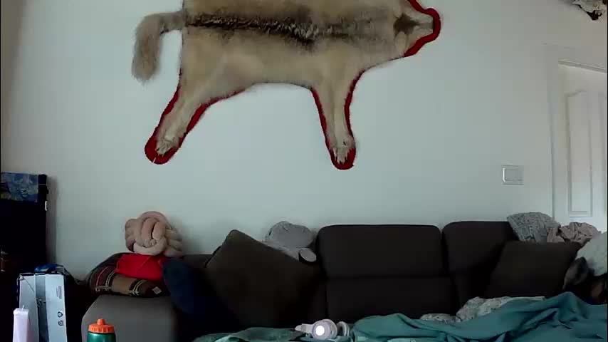 lolalixx6969 Live Sex December 2, 2025