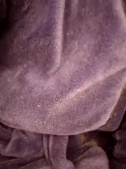 KissMiSveet Live Sex December 13, 2025