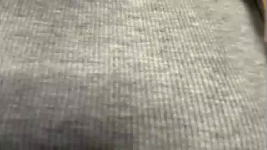 petal_couple Live Sex December 13, 2025