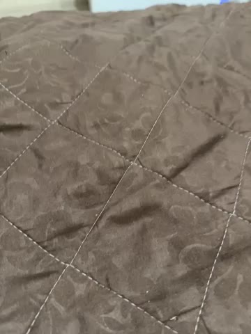 Taisia_W Live Sex December 2, 2025