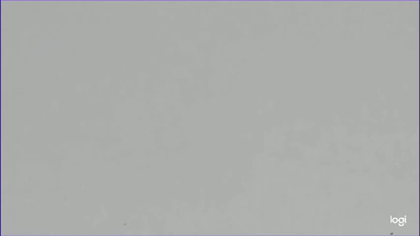 stefaninelly Live Sex December 14, 2025