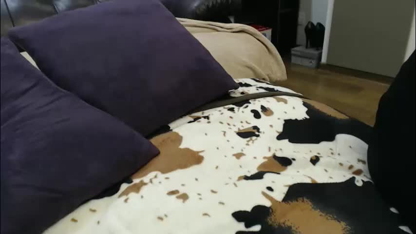 hot44cat Live Sex December 3, 2025