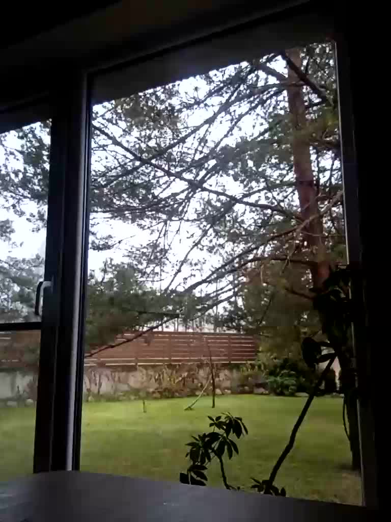 Krasotkas_duo Live Sex December 3, 2025