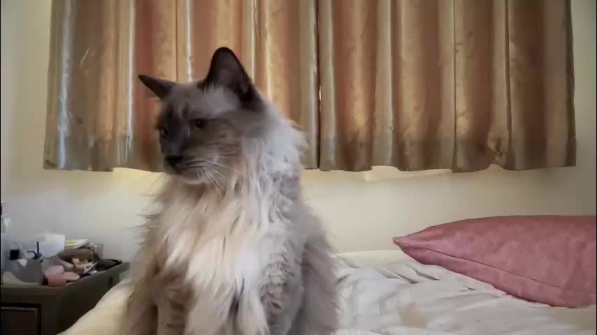 _chelsea___ Live Sex December 13, 2025