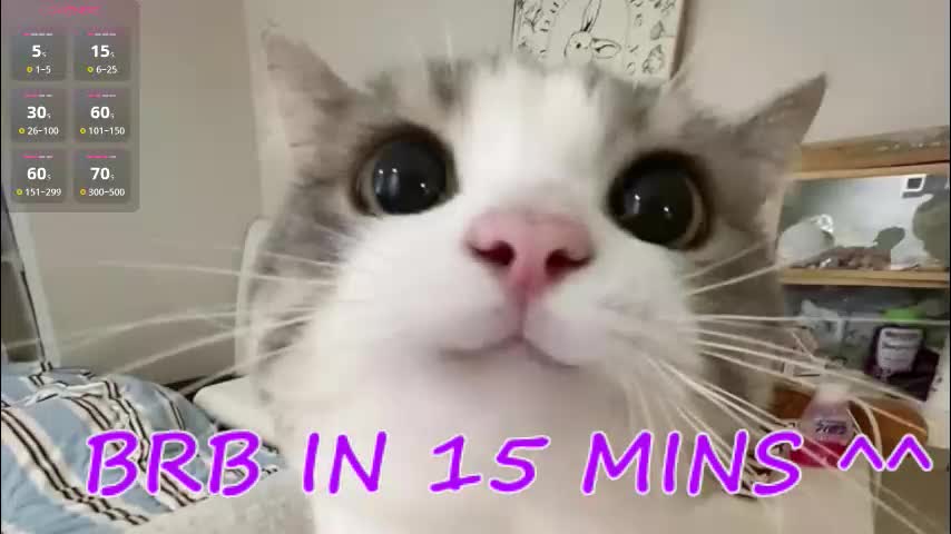 crazy__wine Live Sex December 13, 2025