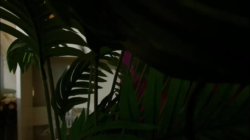 imcarrieberry Live Sex December 13, 2025