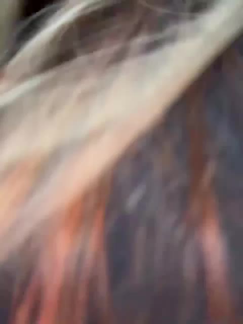 OrgazMia Live Sex December 13, 2025